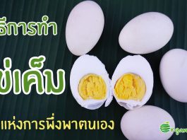 วิธีการทำไข่เค็ม